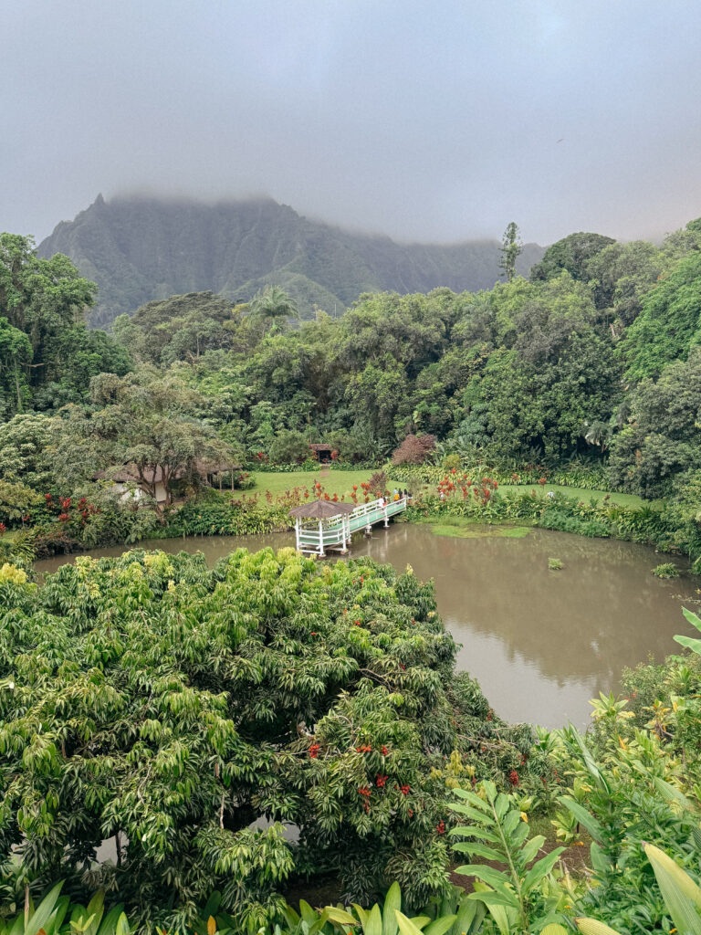 Haleiwa Joe's