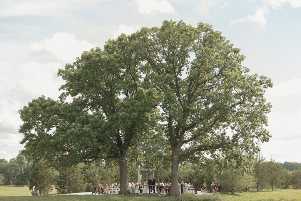 family focused wedding at cedar valley forest
